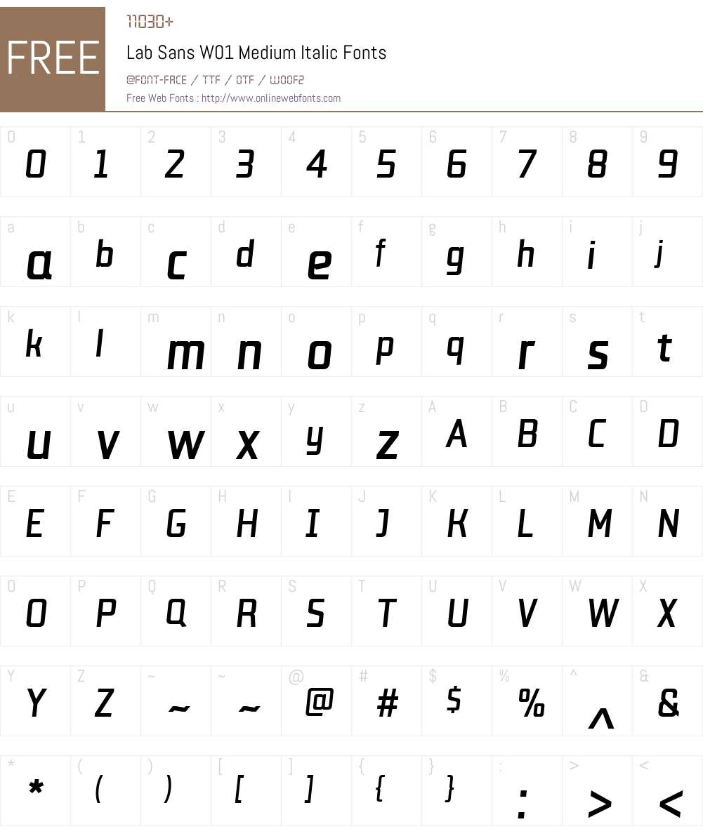 LabSansW01-MediumItalic Font Screenshots