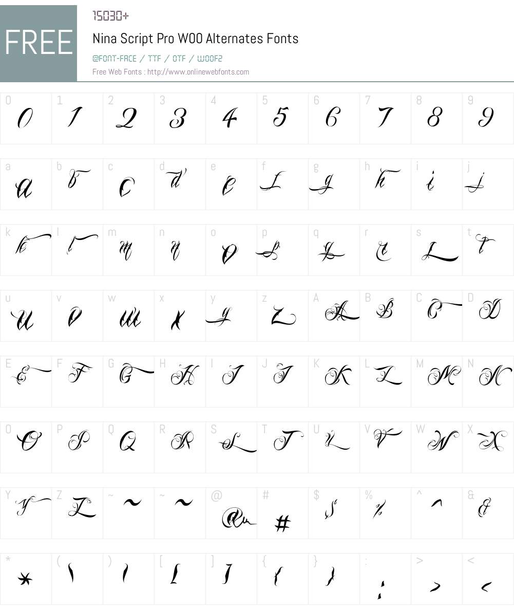 NinaScriptProW00-Alternates Font Screenshots