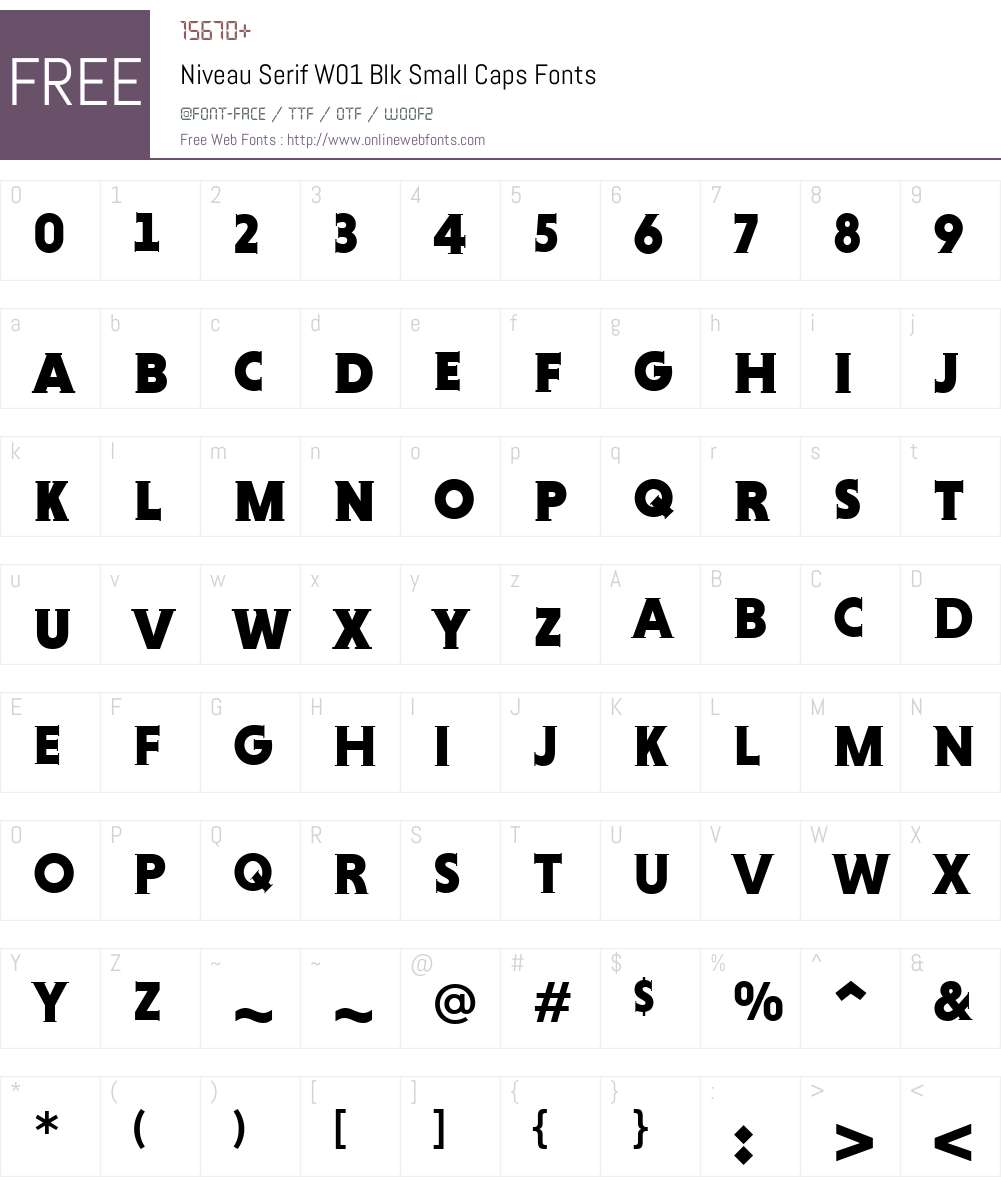 Niveau Serif Font Screenshots