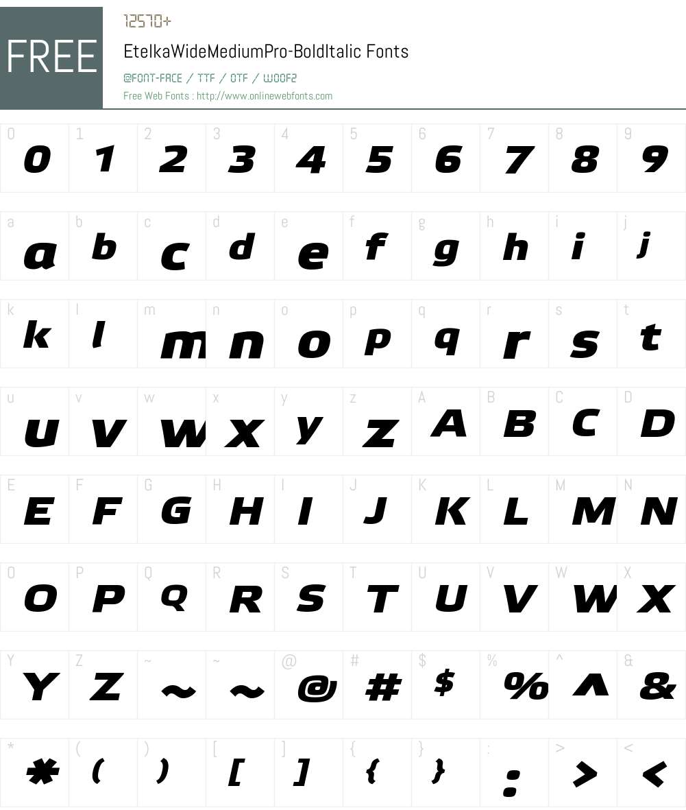 Etelka Wide Medium Pro Font Screenshots