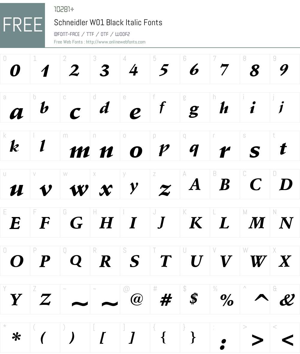 SchneidlerW01-BlackItalic Font Screenshots