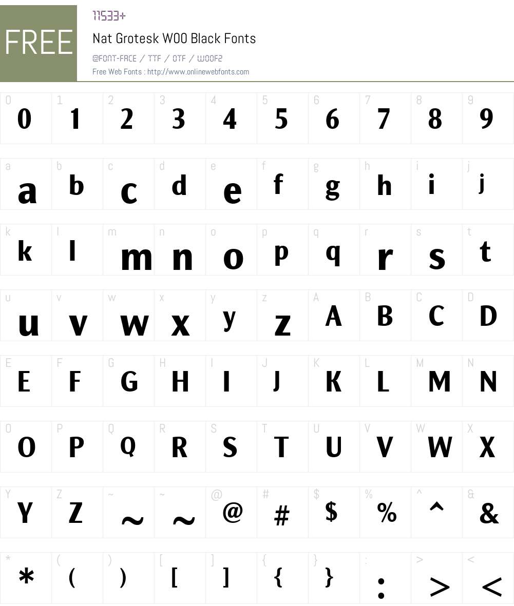 NatGroteskW00-Black Font Screenshots