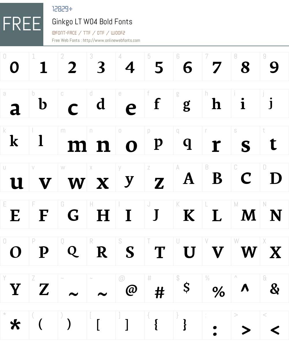 Ginkgo Font Screenshots