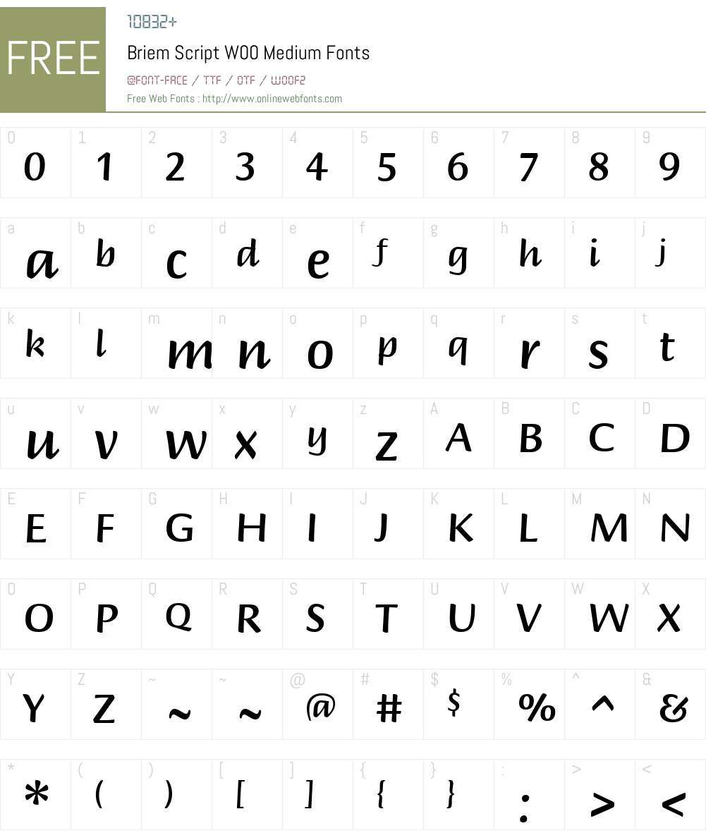 BriemScriptW00-Medium Font Screenshots