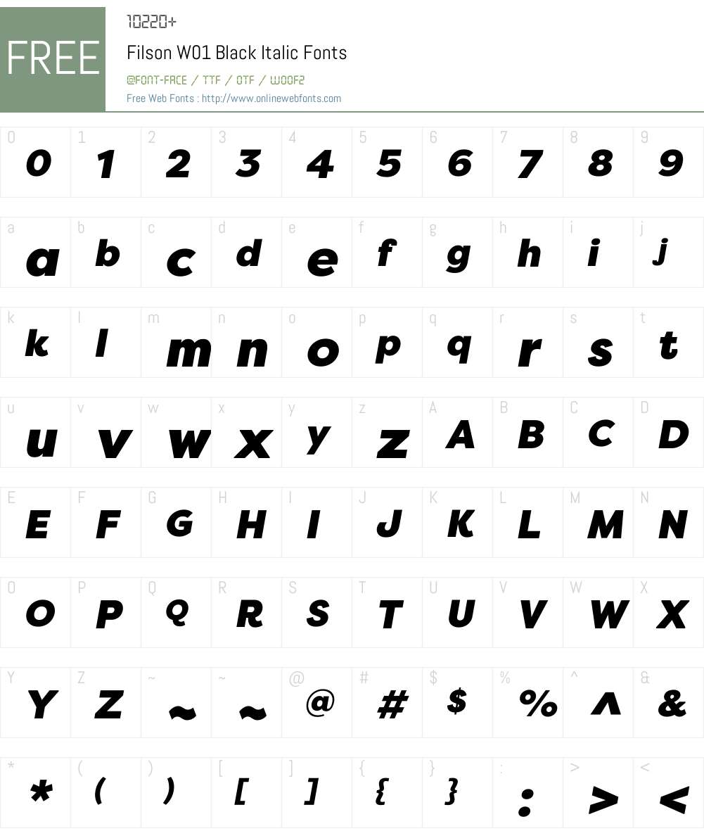 FilsonW01-BlackItalic Font Screenshots