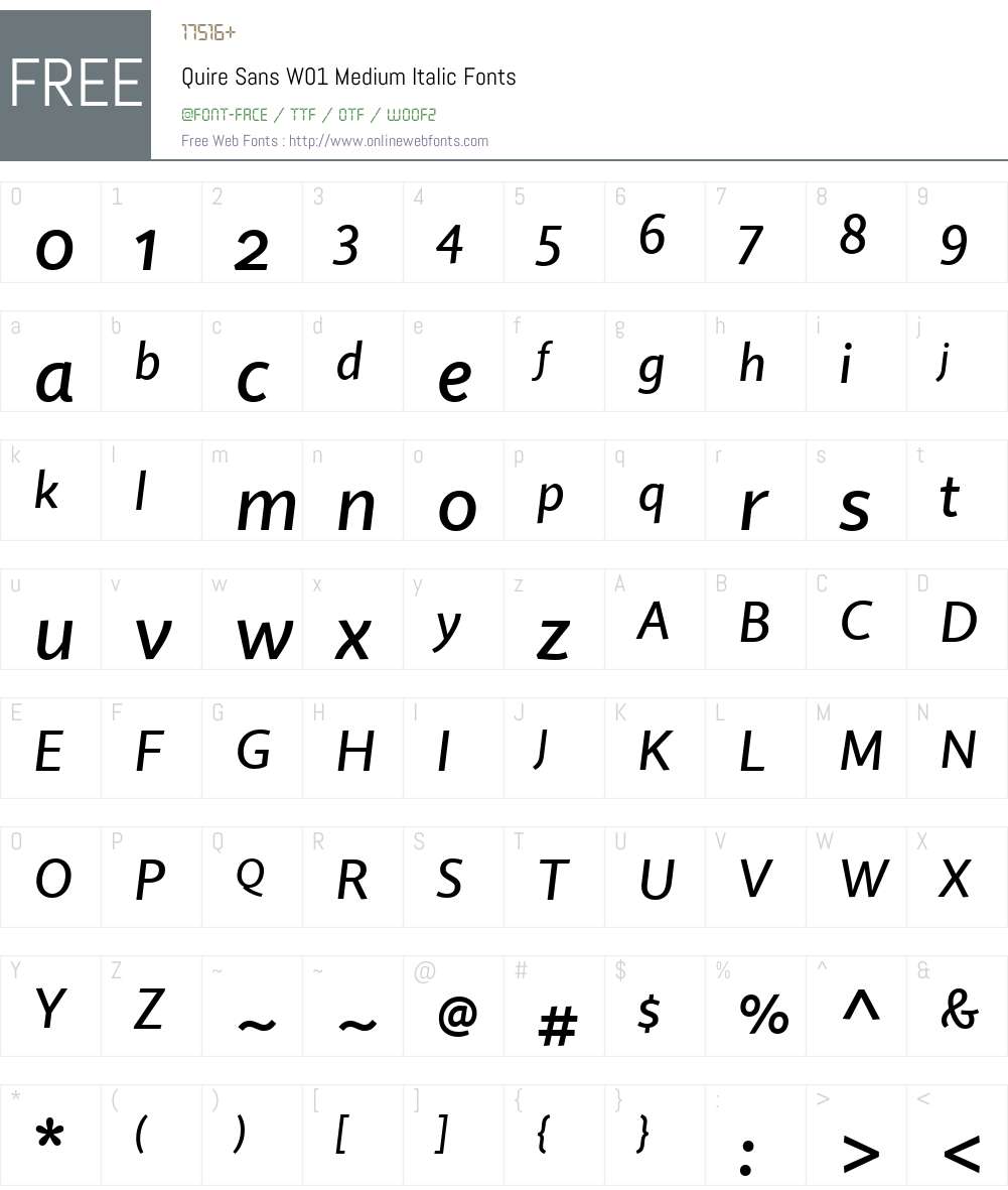 QuireSansW01-MediumItalic Font Screenshots