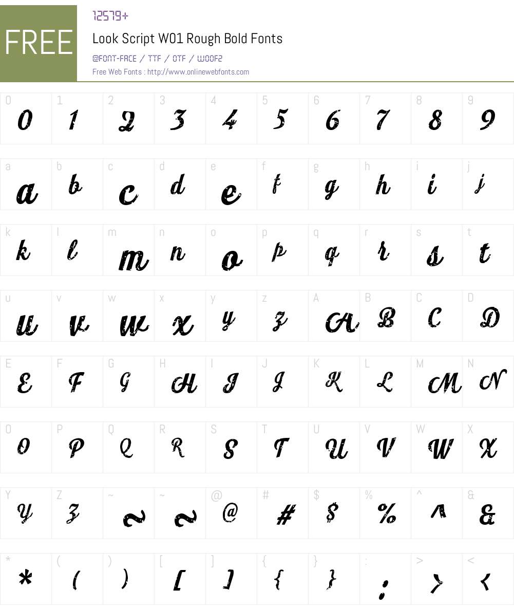 LookScriptW01-RoughBold Font Screenshots