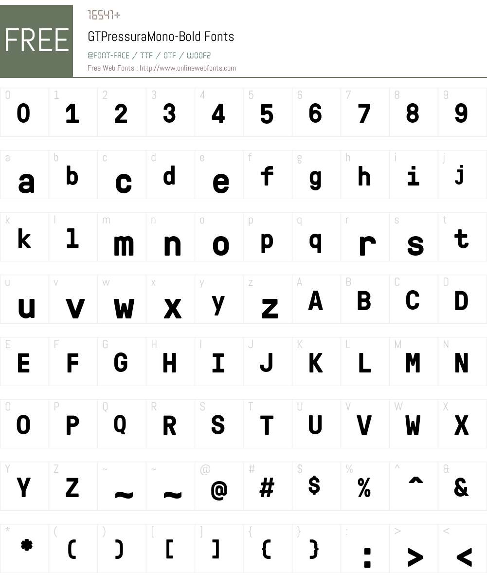 GTPressuraMono-Bold Font Screenshots
