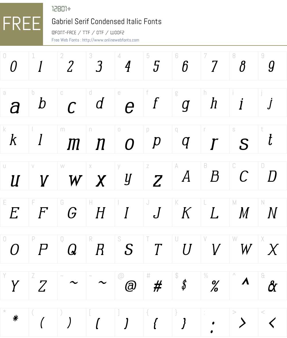 Gabriel Serif Condensed Font Screenshots
