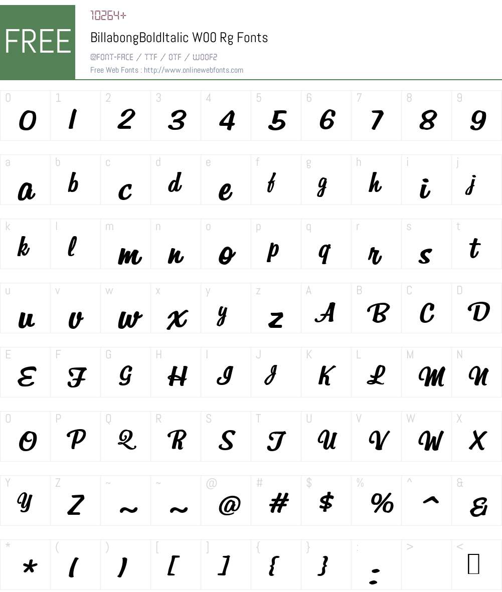 BillabongBoldItalicW00-Rg Font Screenshots