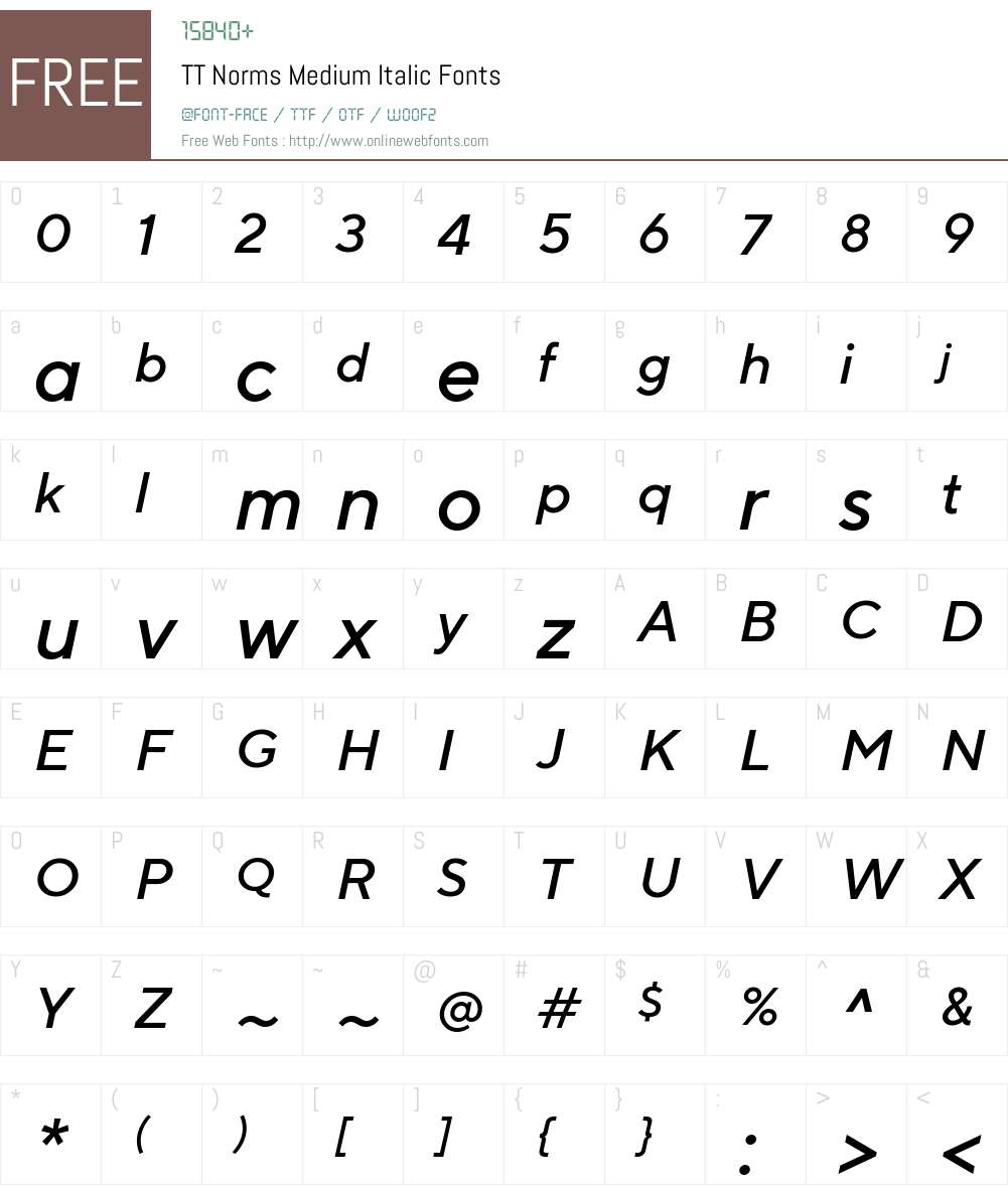 TT Norms Medium Italic Font Screenshots