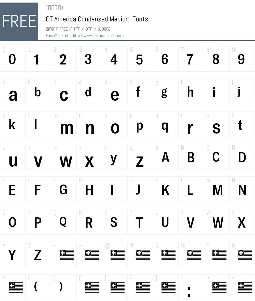 GT America Condensed Medium Font Screenshots