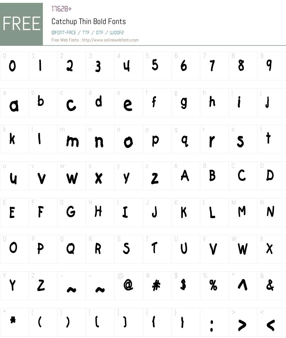 Catchup Thin Font Screenshots