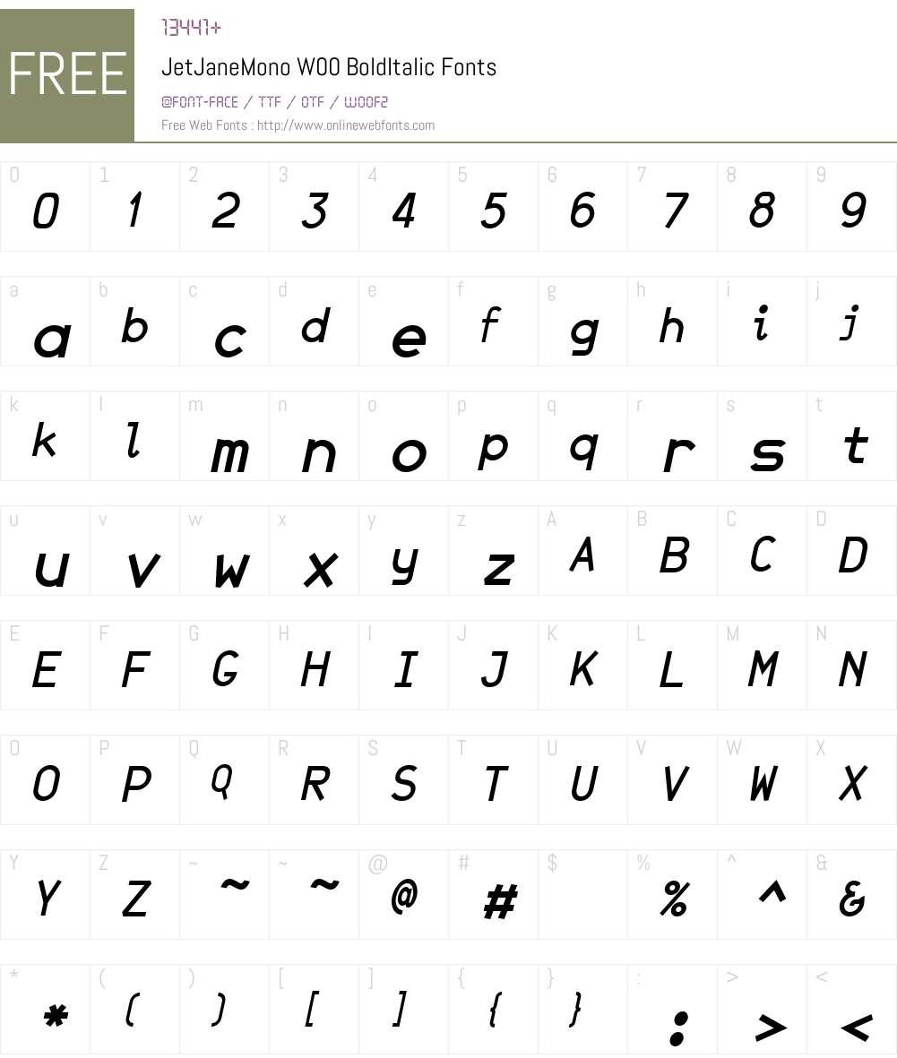 JetJaneMonoW00-BoldItalic Font Screenshots
