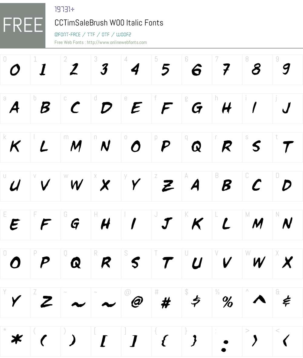 CCTimSaleBrushW00-Italic Font Screenshots