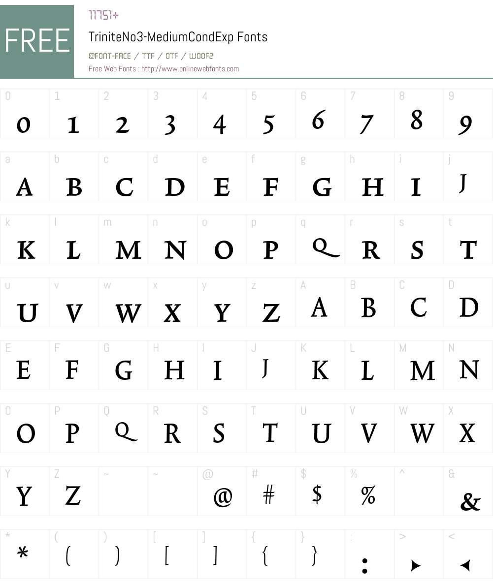 TriniteNo3 Font Screenshots