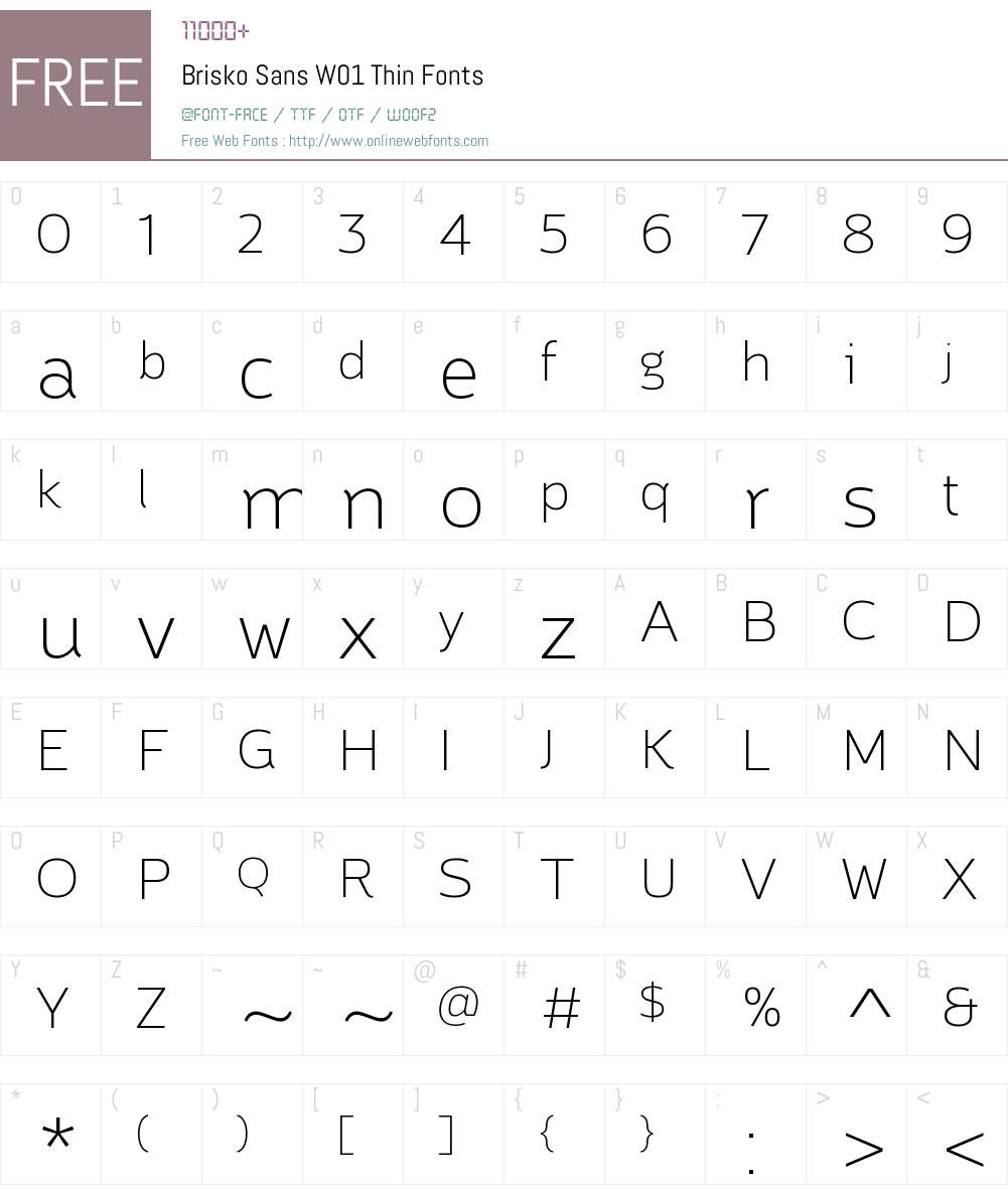 BriskoSansW01-Thin Font Screenshots