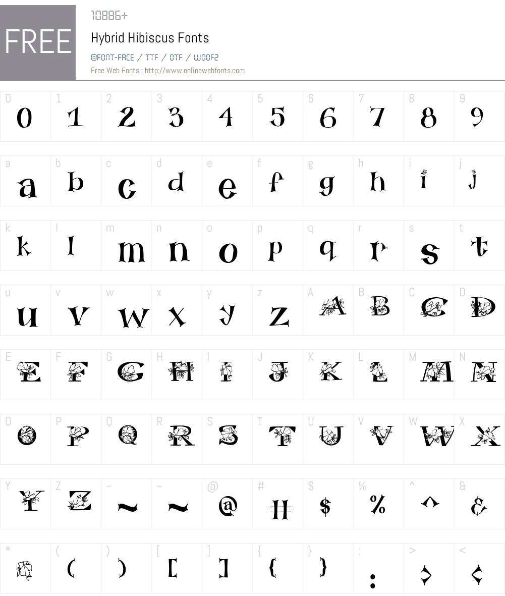 Hybrid Hibiscus Font Screenshots