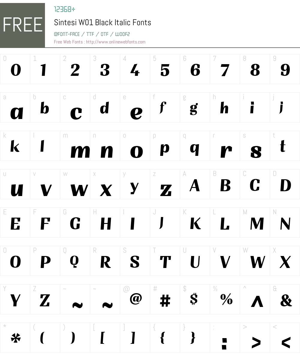 SintesiW01-BlackItalic Font Screenshots