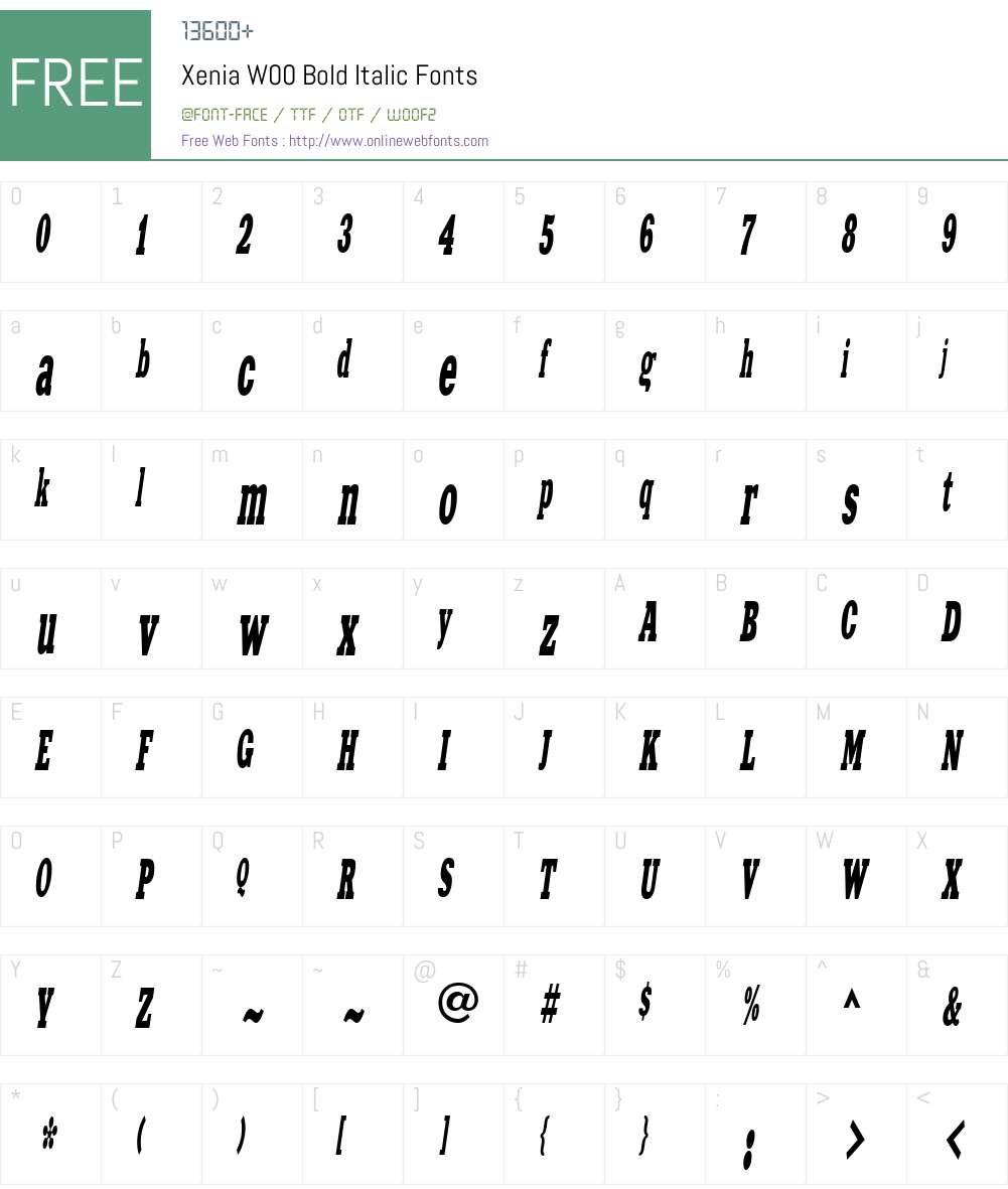 XeniaW00-BoldItalic Font Screenshots