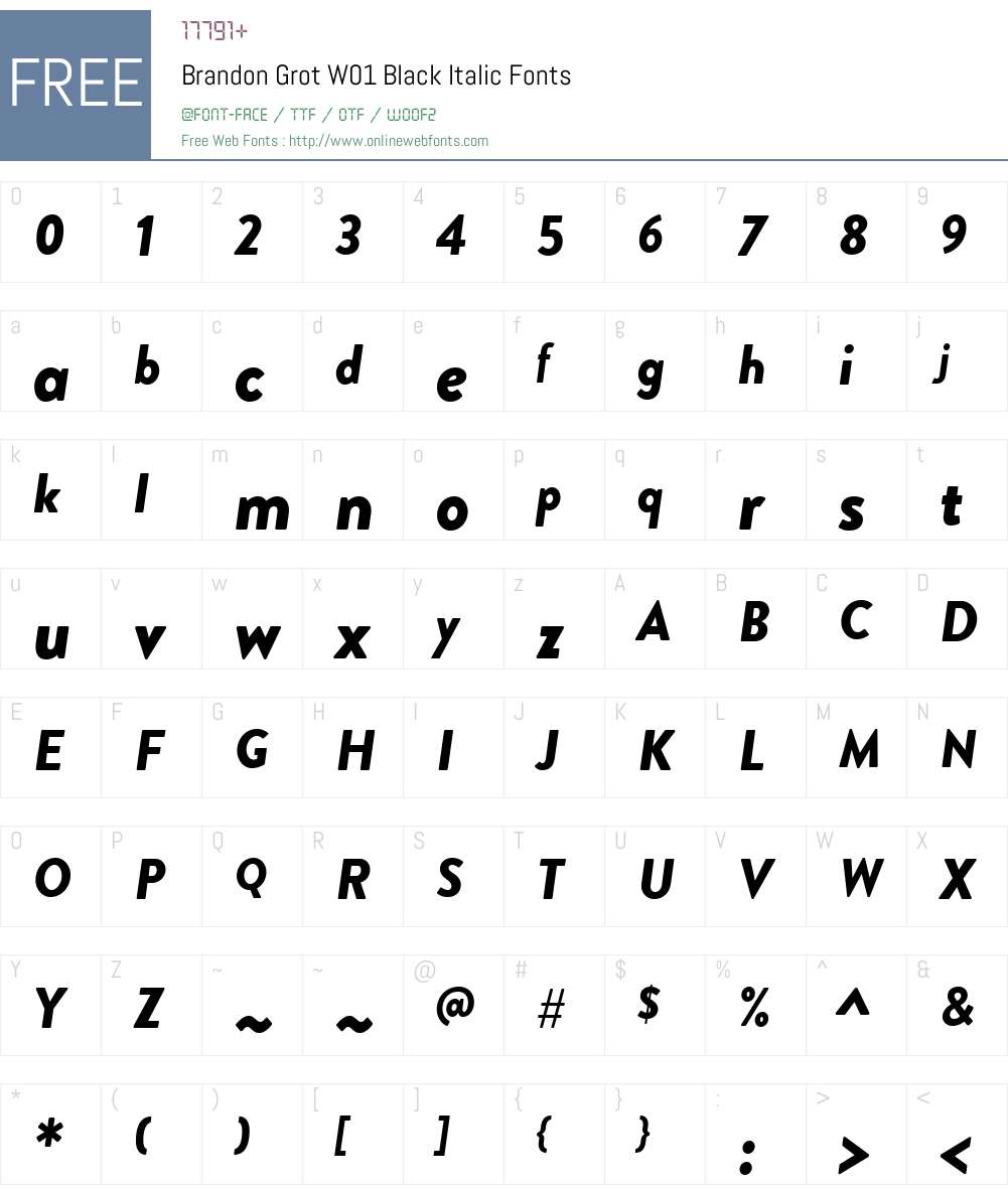 BrandonGrotW01-BlackItalic Font Screenshots