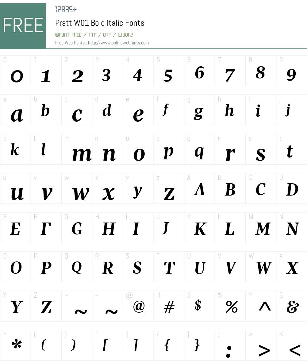 PrattW01-BoldItalic Font Screenshots