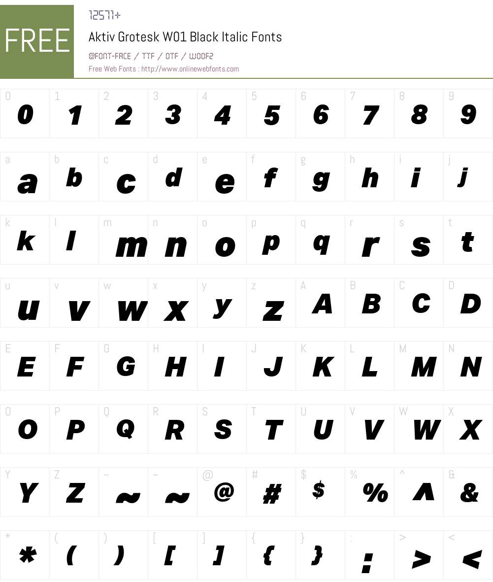 AktivGroteskW01-BlackIt Font Screenshots