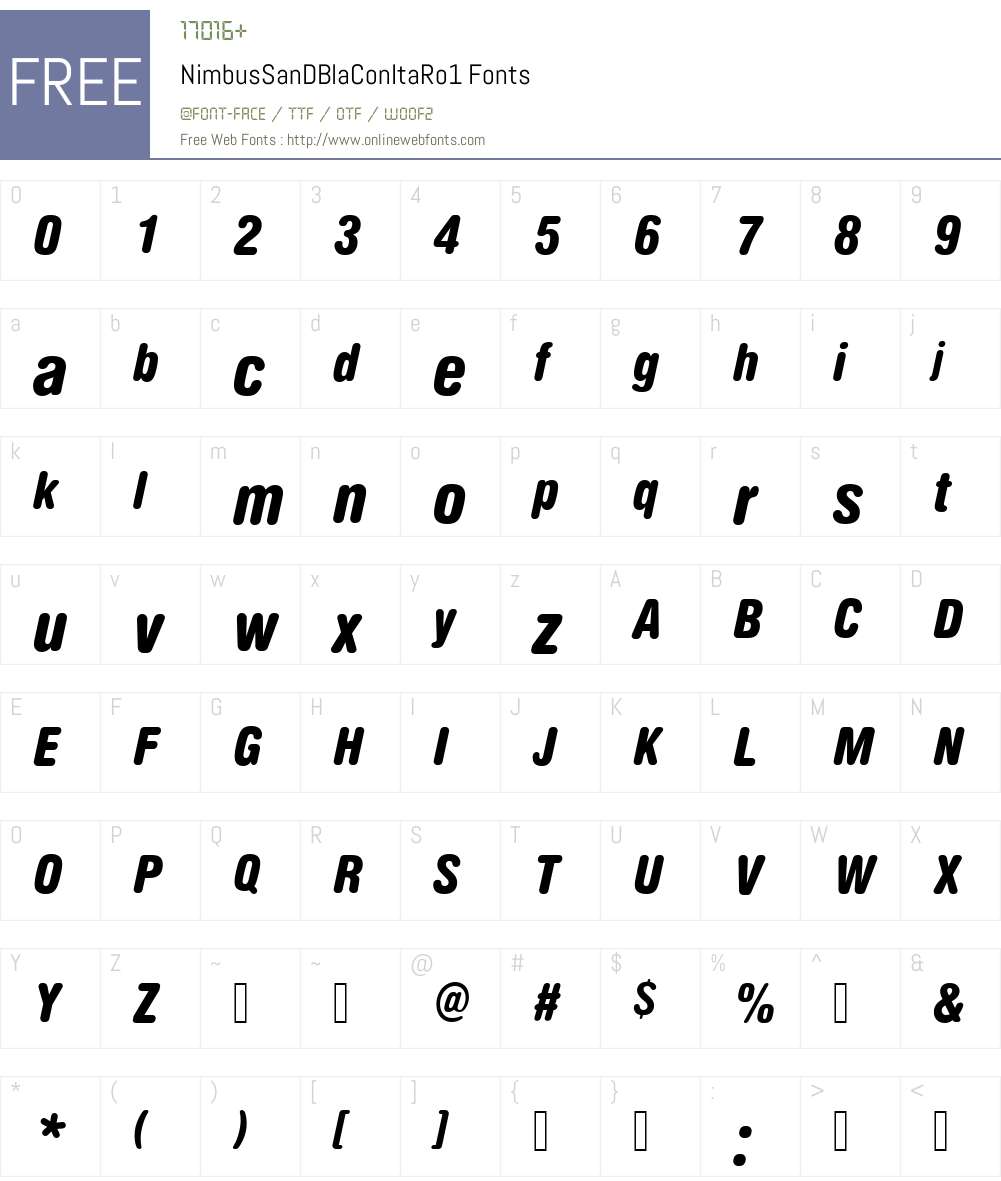 NimbusSanDBlaConItaRo1 Font Screenshots