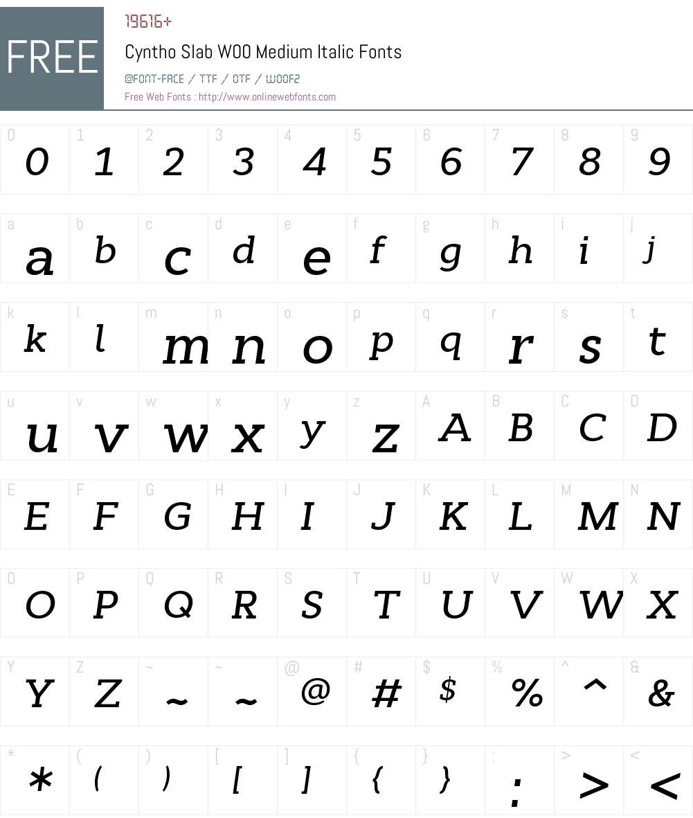 CynthoSlabW00-MediumItalic Font Screenshots