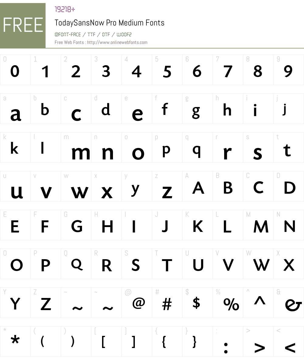 TodaySansNowPro-Medium Font Screenshots