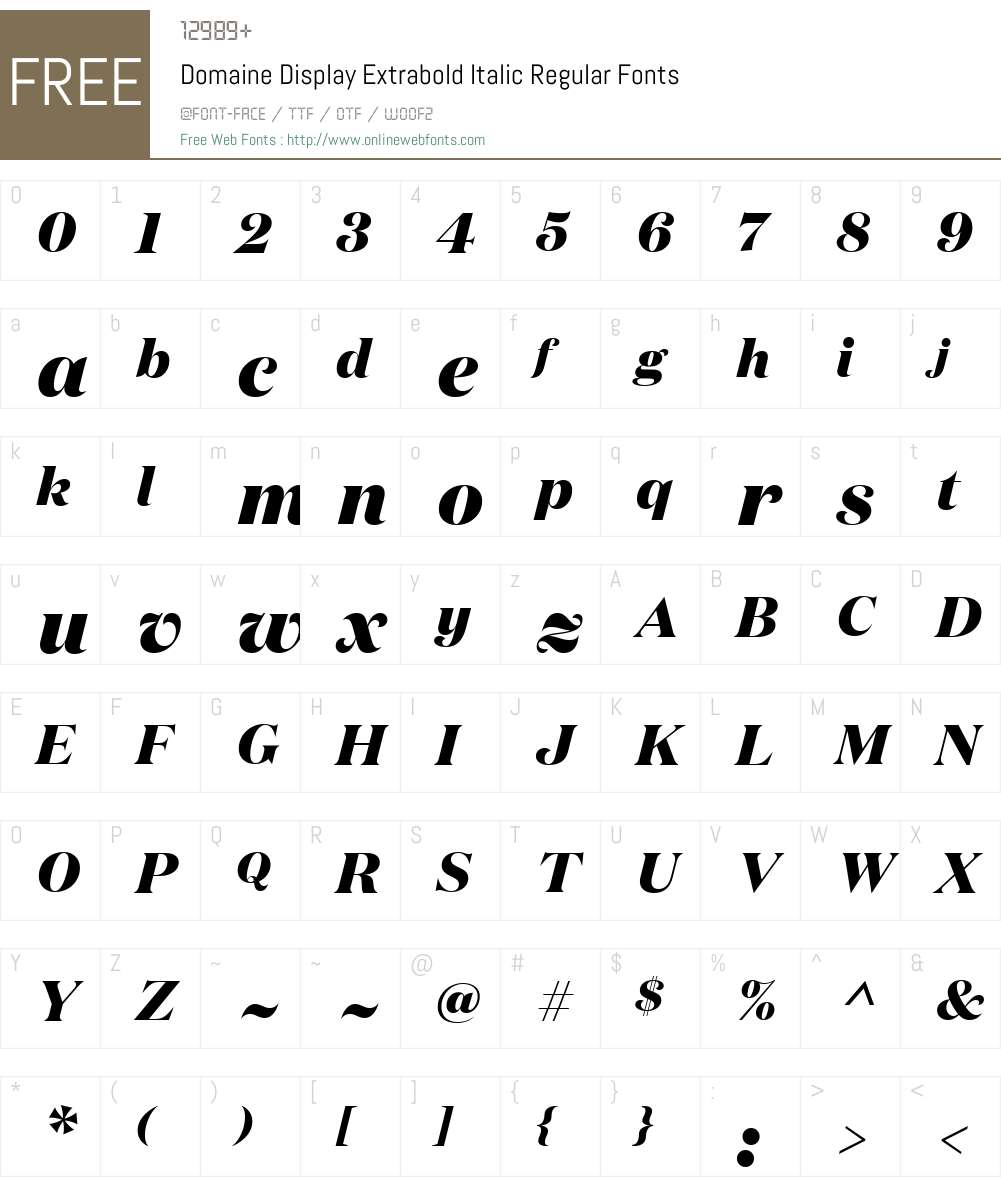 Copyright Klim Type Foundry Font Screenshots