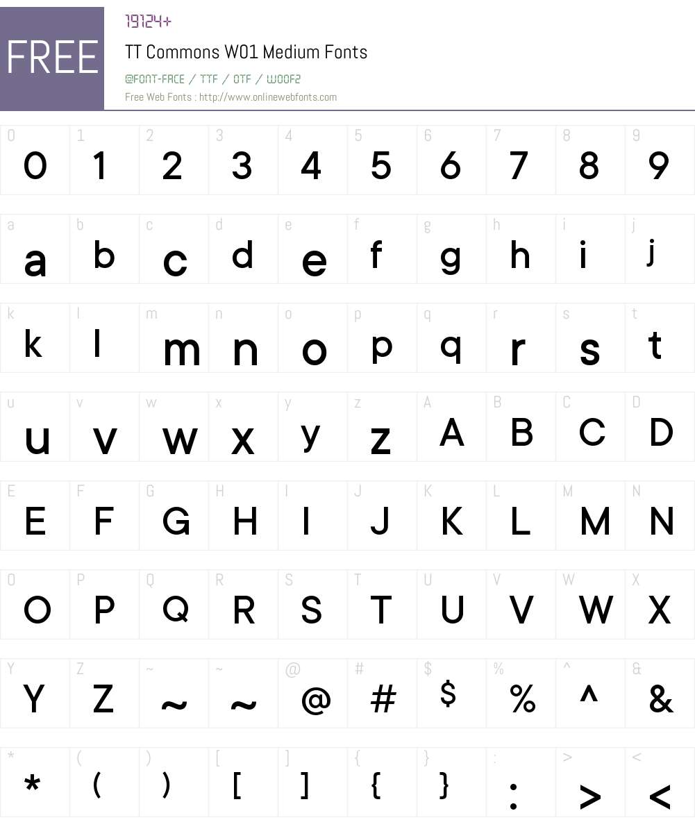 TT Commons W01 Font Screenshots
