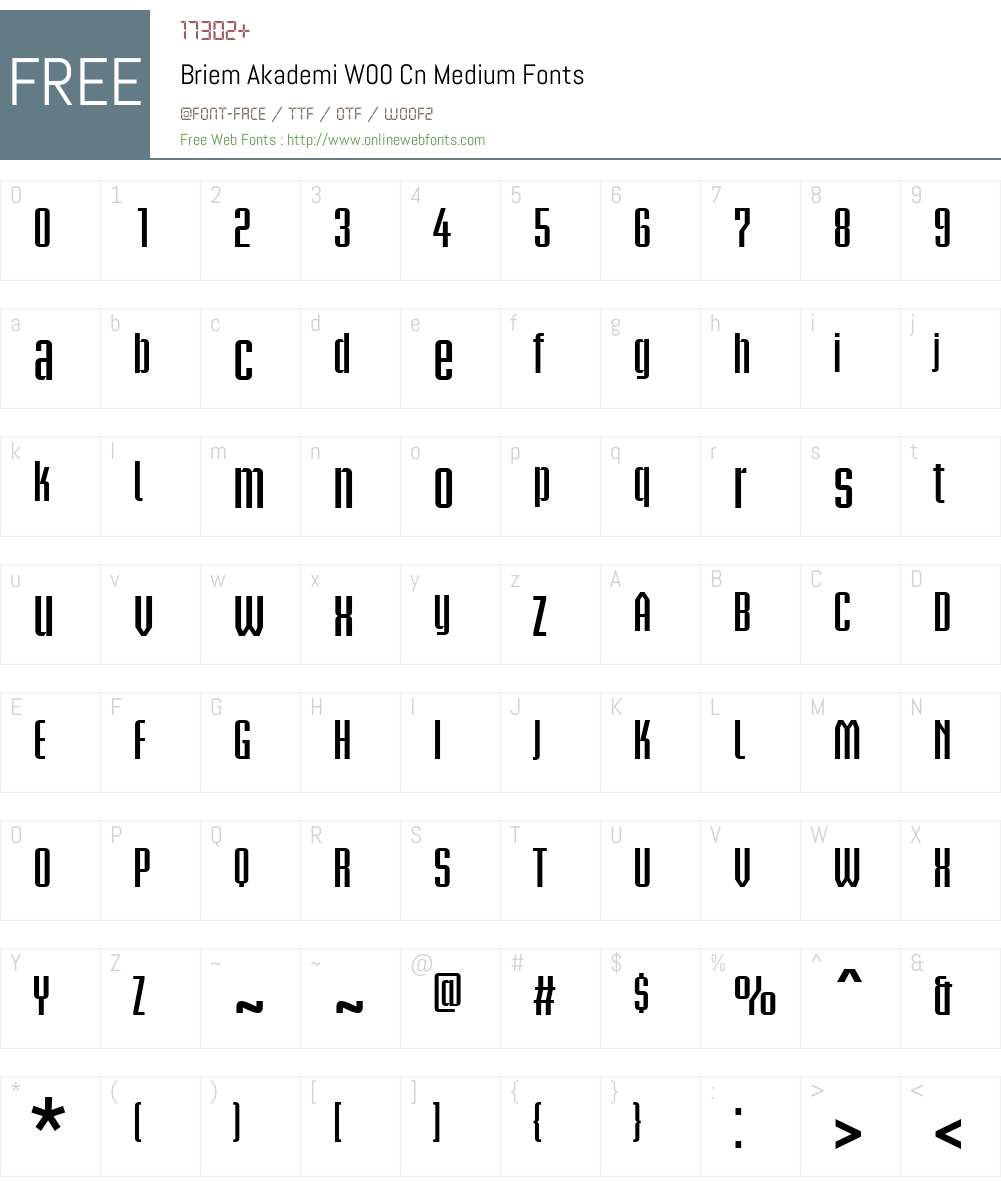 BriemAkademiW00-CnMedium Font Screenshots
