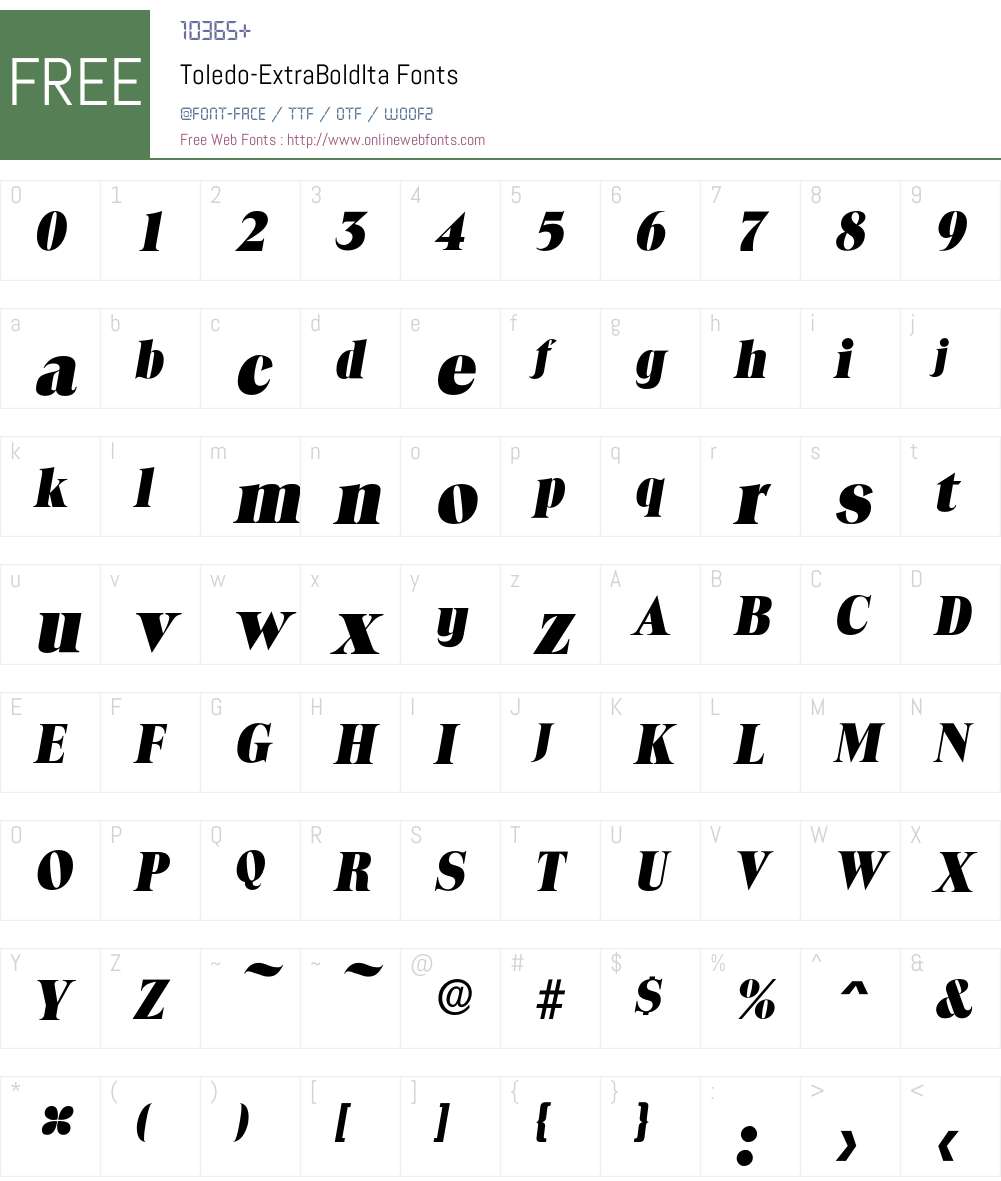 Toledo-ExtraBoldIta Font Screenshots