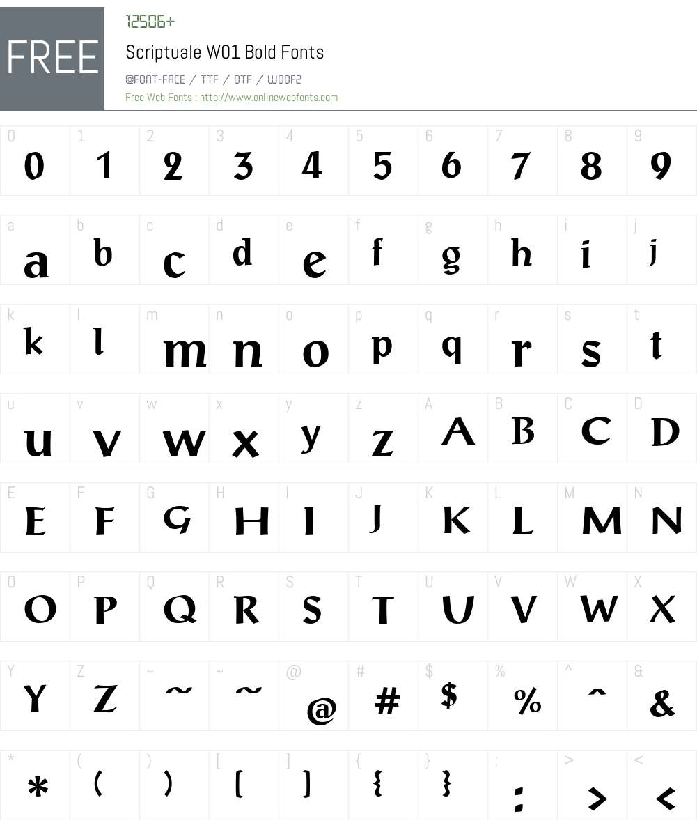 ScriptualeW01-Bold Font Screenshots