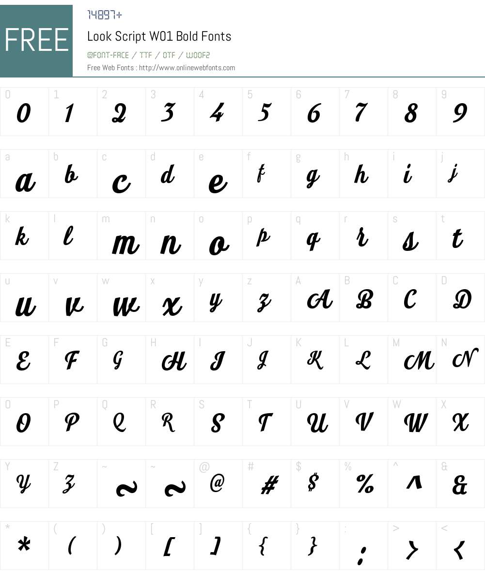 LookScriptW01-Bold Font Screenshots