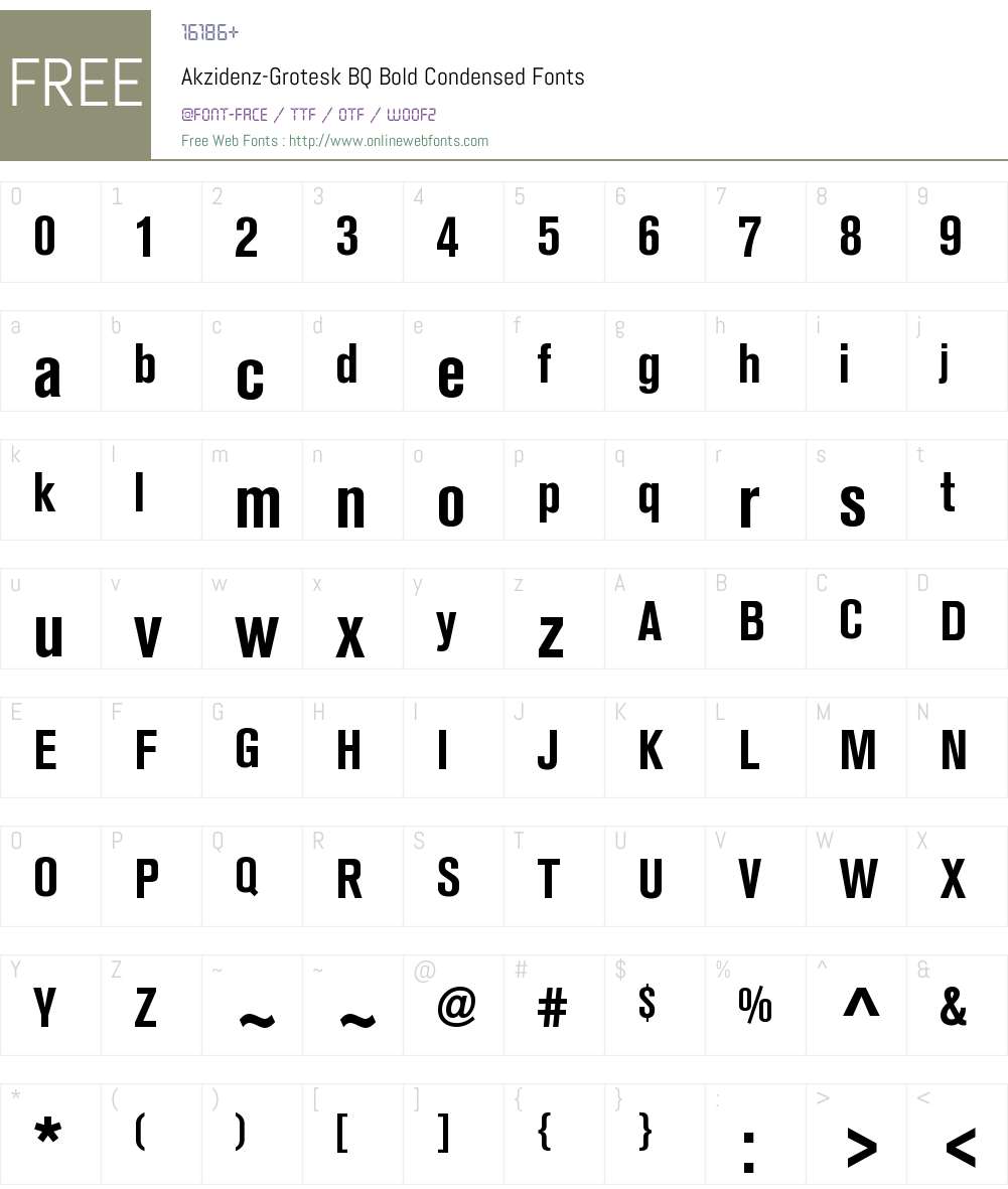 Akzidenz-Grotesk BQ Font Screenshots