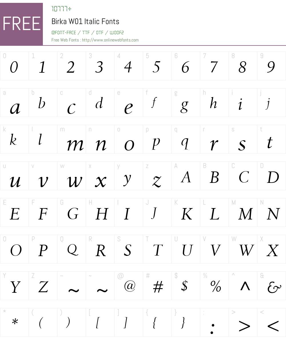 BirkaW01-Italic Font Screenshots