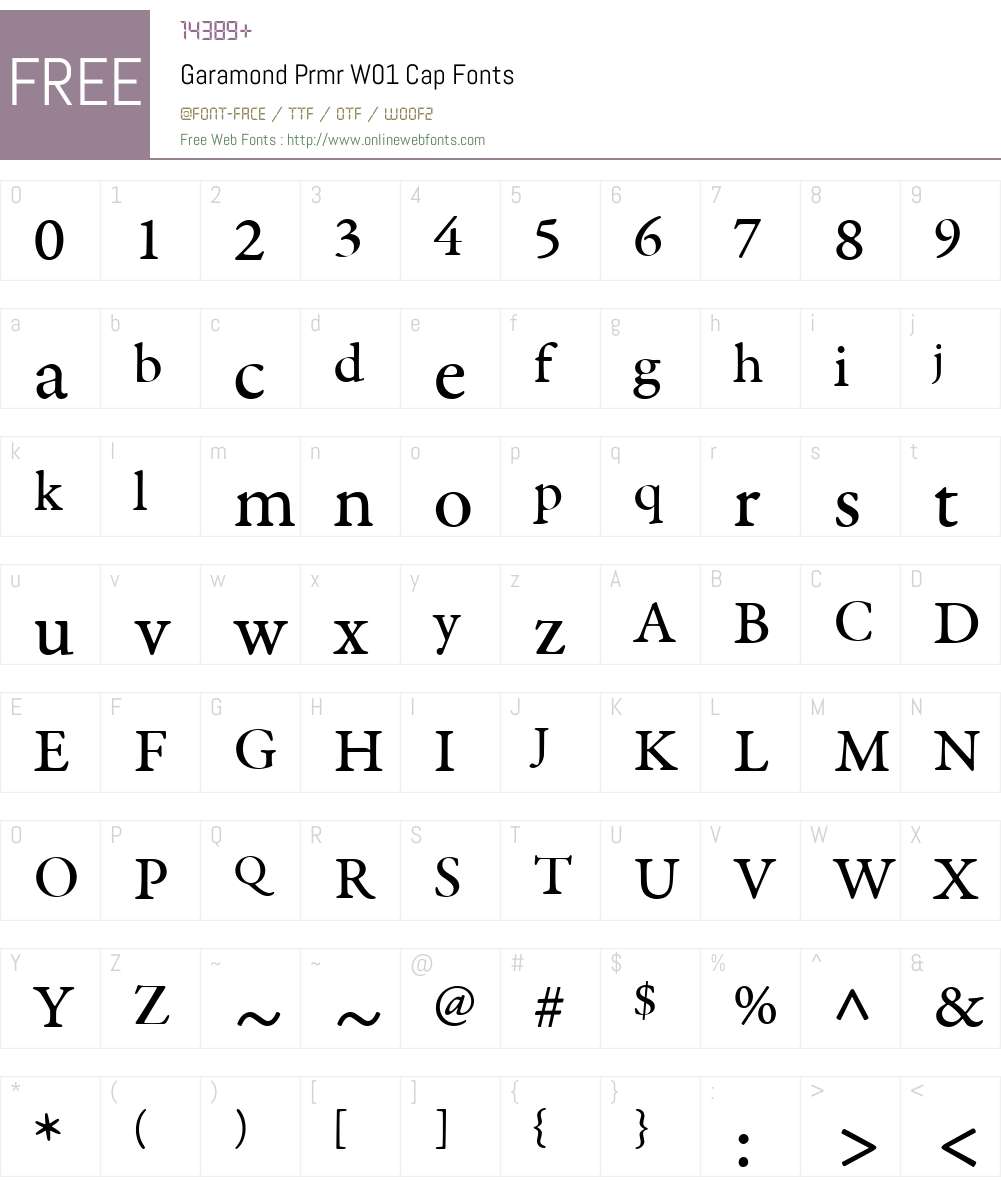 GaramondPrmrW01-Cap Font Screenshots