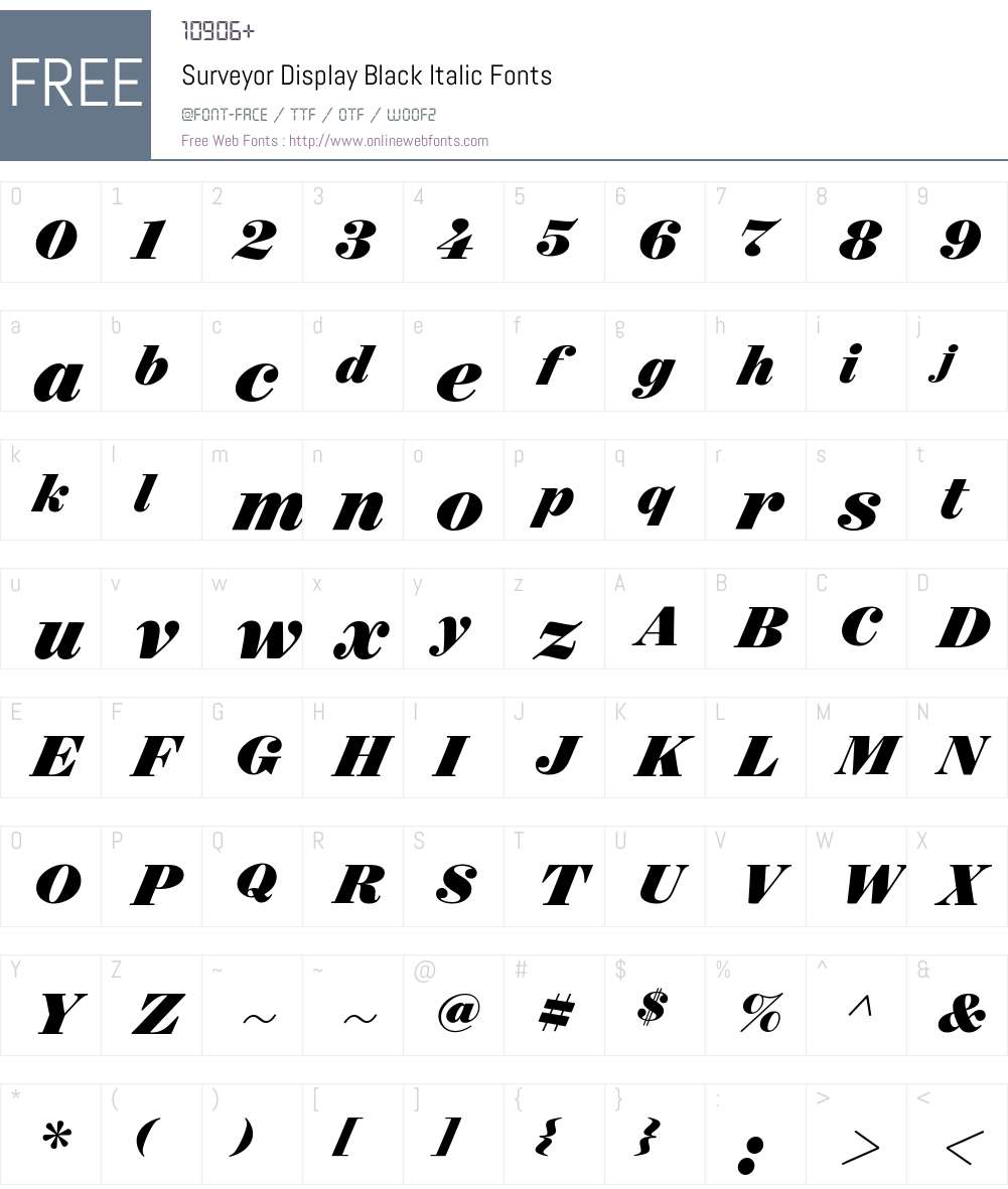 Surveyor Display Black Font Screenshots