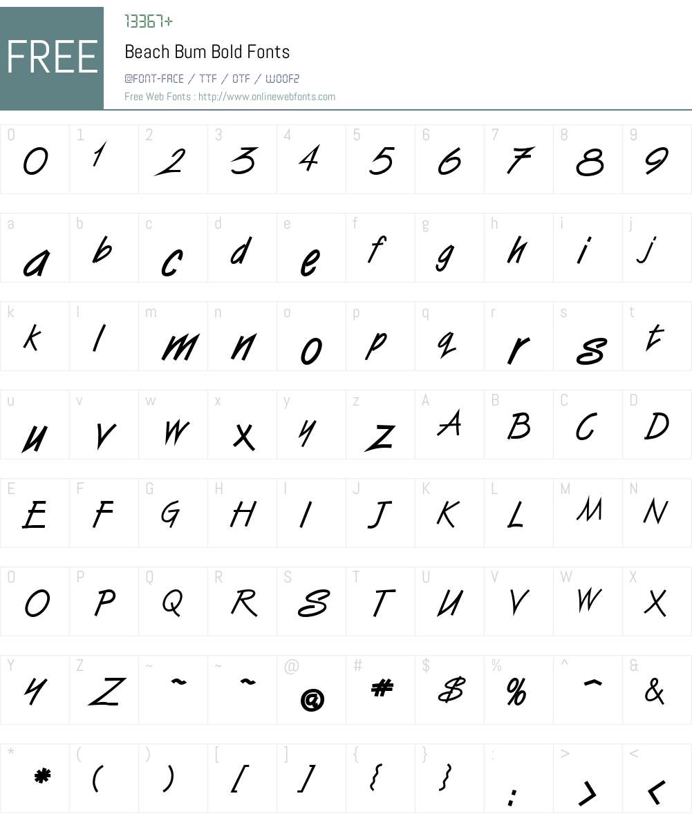 Beach Bum Font Screenshots