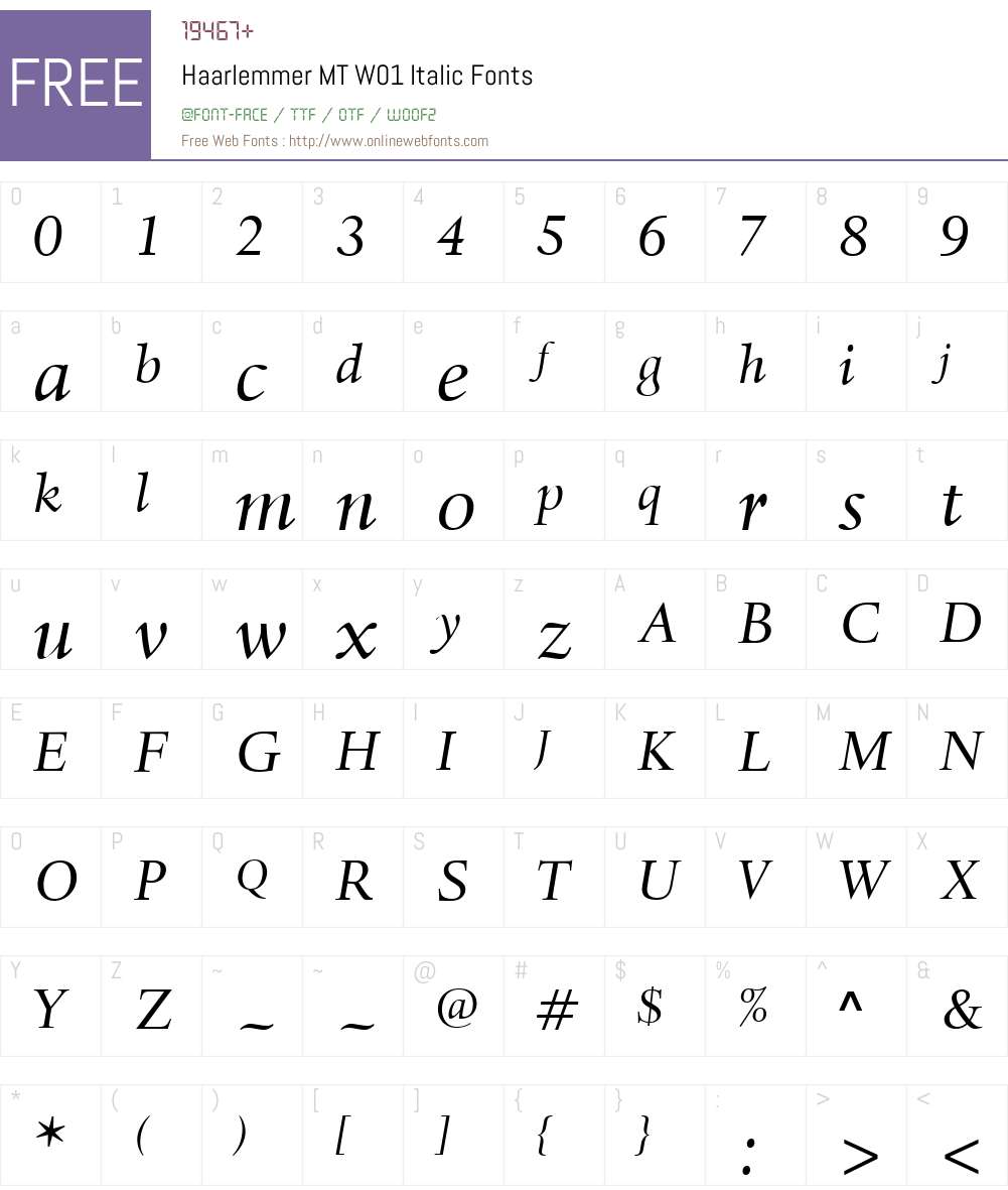HaarlemmerMTW01-Italic Font Screenshots