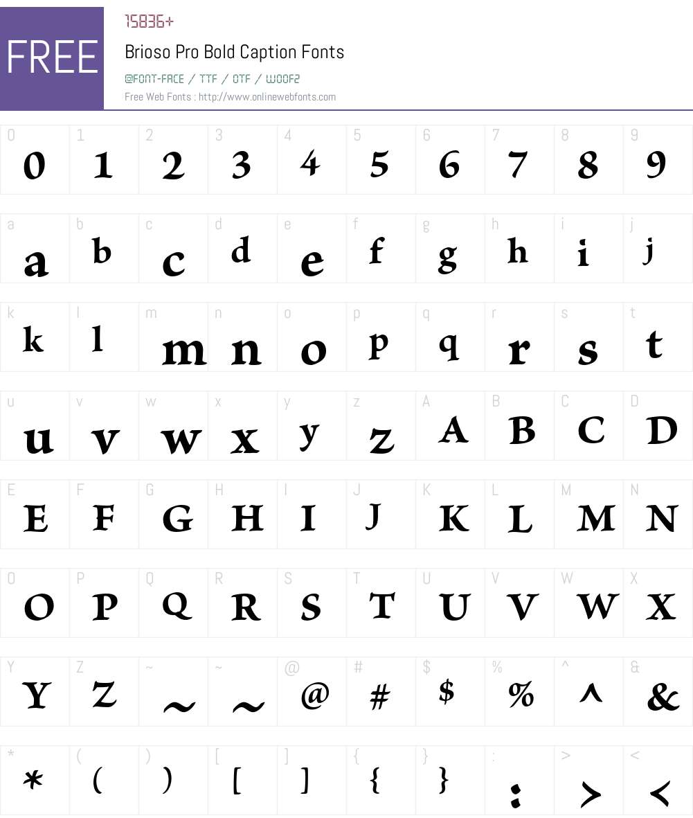 Brioso Pro Font Screenshots