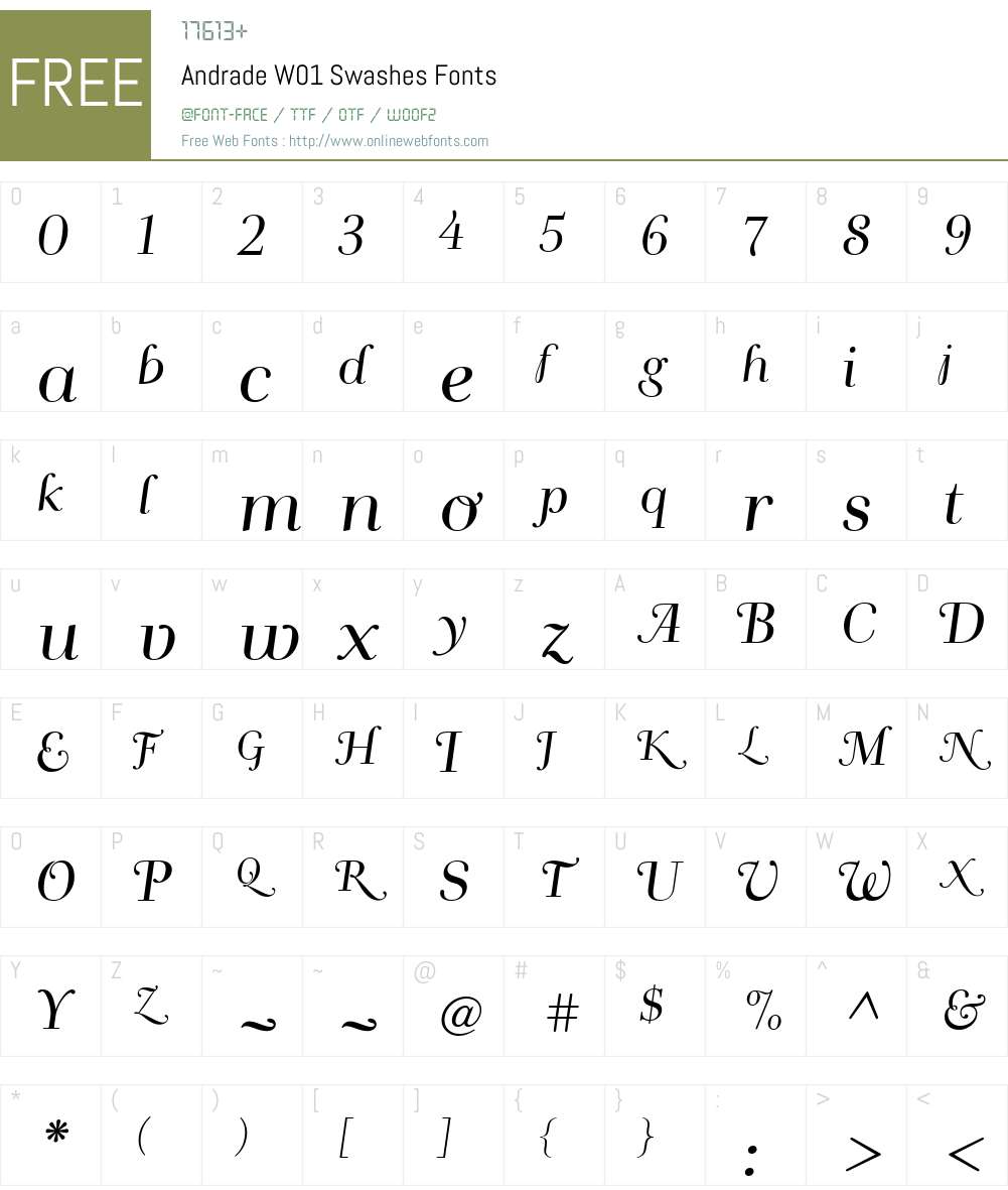 AndradeW01-Swashes Font Screenshots