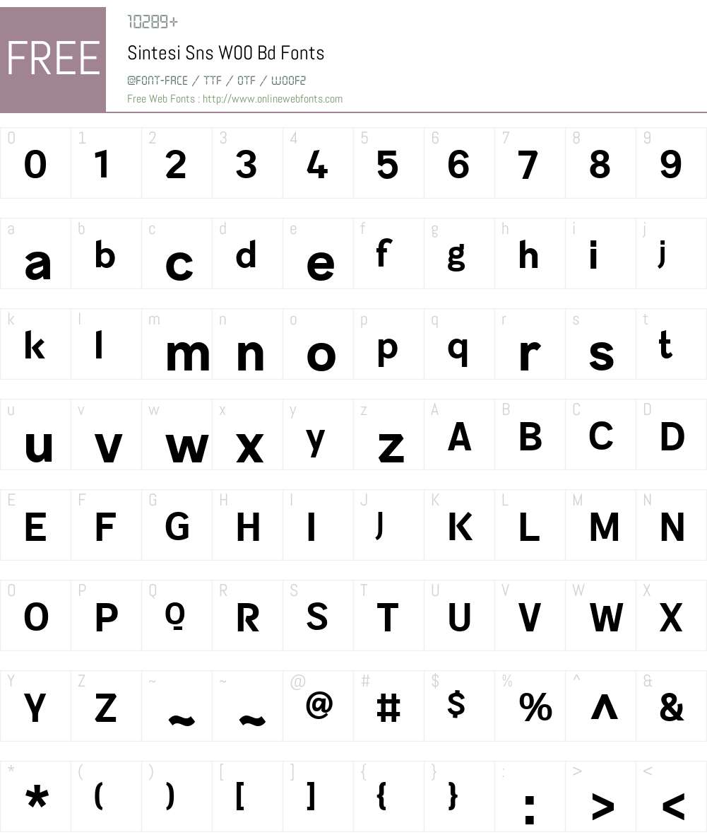 SintesiSnsW00-Bd Font Screenshots