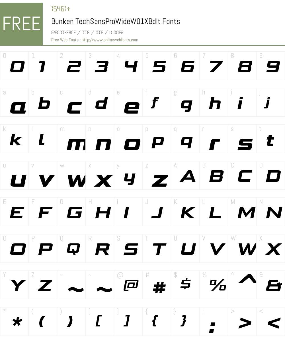 BunkenTechSansProWideW01-XBdIt Font Screenshots