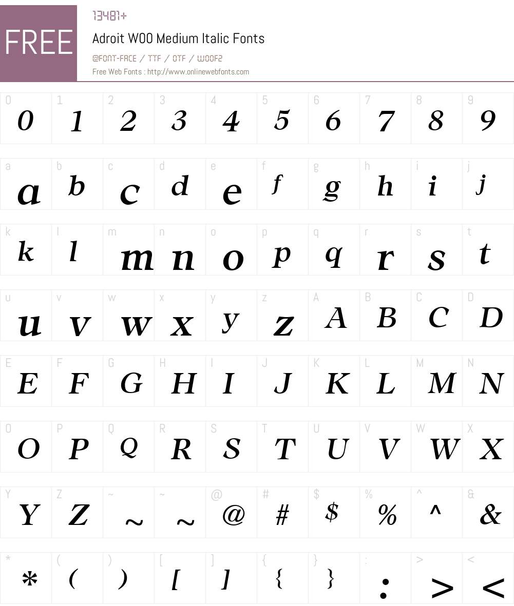 AdroitW00-MediumItalic Font Screenshots