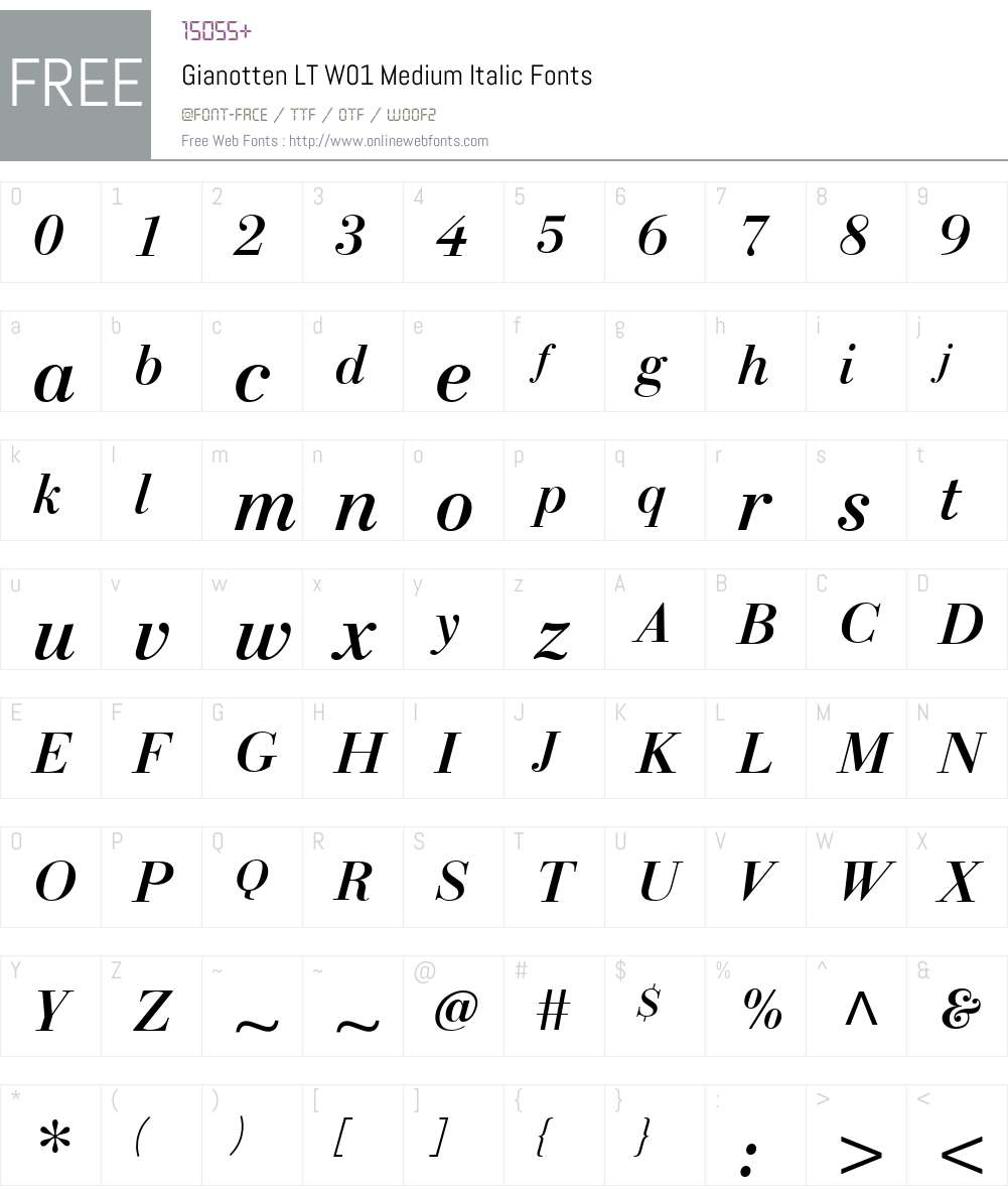 GianottenLTW01-MediumItalic Font Screenshots