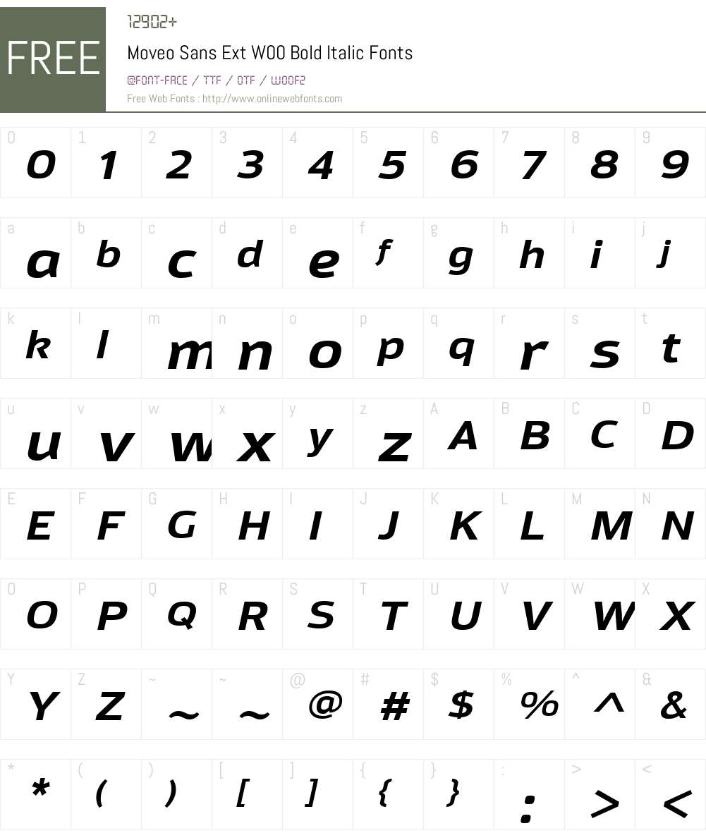 MoveoSansExtW00-BoldItalic Font Screenshots