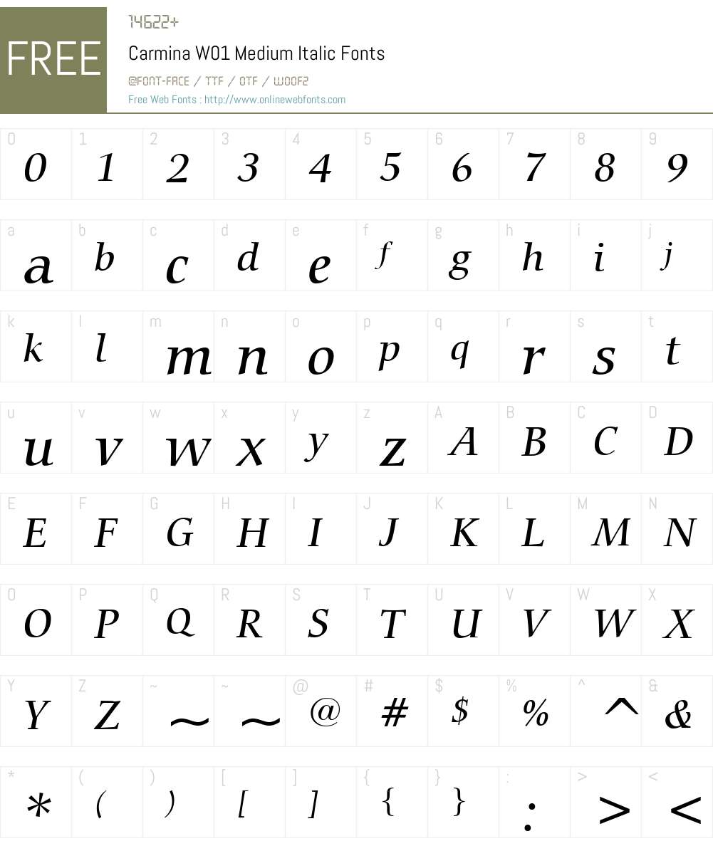 CarminaW01-MediumItalic Font Screenshots
